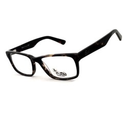 Isee 505